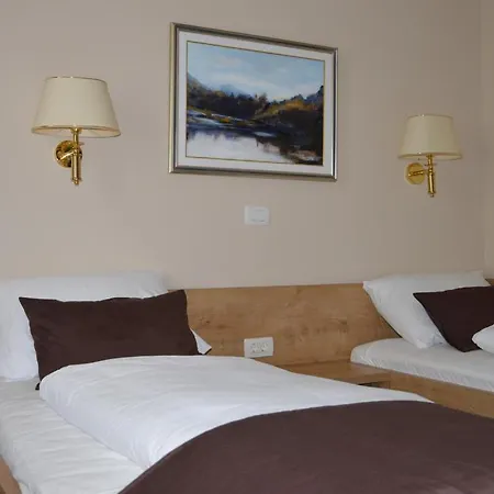 Hotel Slovenj Gradec 2*