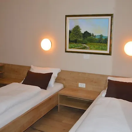 Hotel Hotel Slovenj Gradec 2*