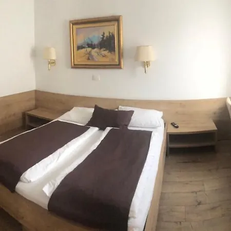 Hotel Slovenj Gradec Hotel Slovenj Gradec