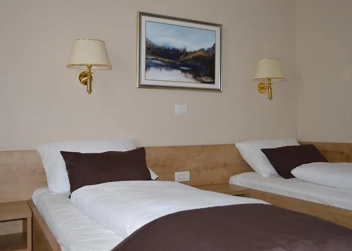 Hotel Slovenj Gradec 2*