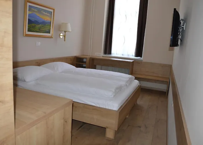 Hotel Slovenj Gradec